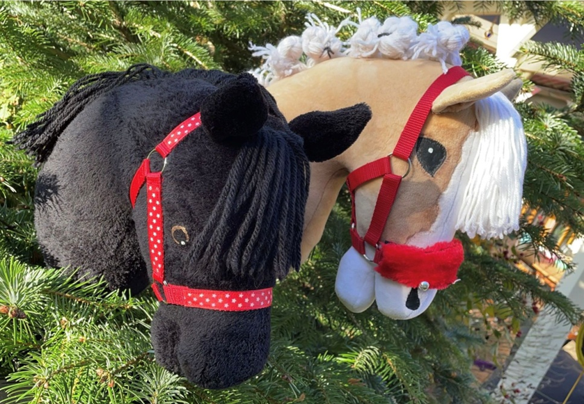 Hobby Horsing Weihnachtsreiten